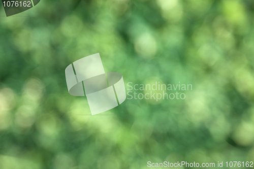 Image of Abstract blurred green background