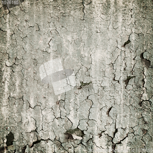 Image of Loathsome texture from the peeled wall