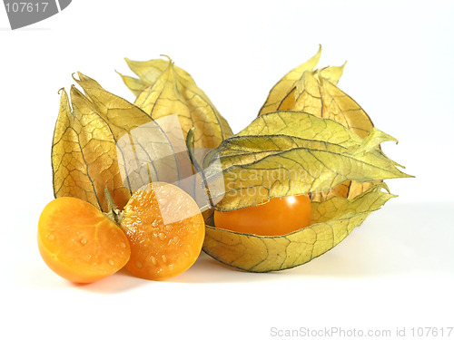 Image of physalis