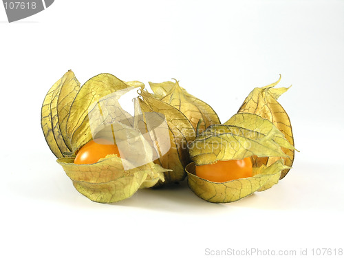 Image of physalis