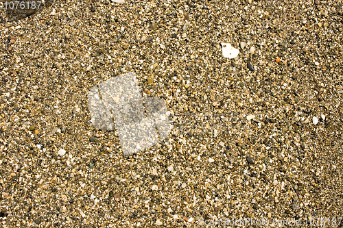 Image of Sandy ground on a beach