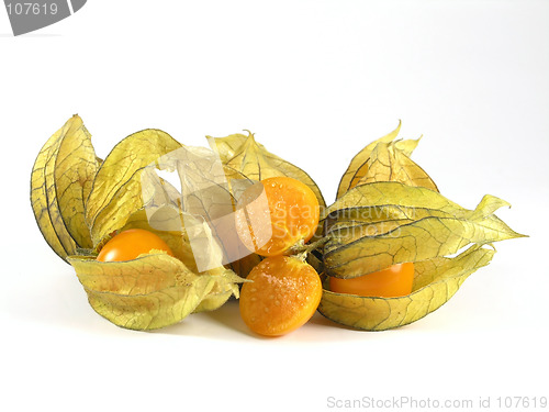 Image of physalis