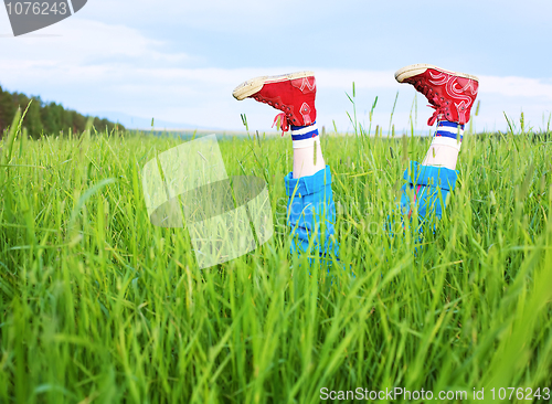 Image of Amusing feet cheerfully sticking out of a grass