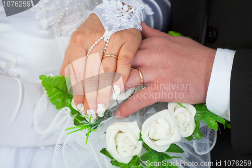 Image of Hands of a newly-married couple with wedding rings