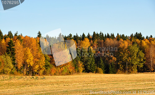 Image of Fall view