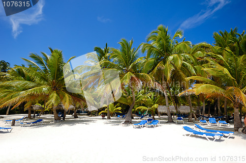 Image of Paradise beach with palms and sunbeds