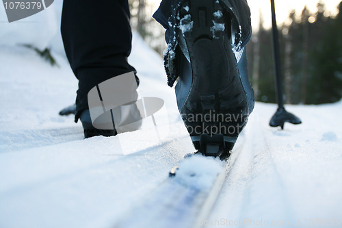 Image of Ski track