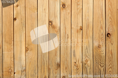 Image of Background from pine boards with knots