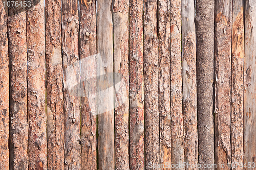 Image of Rural primitive fence from pine logs