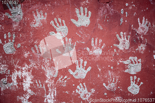 Image of Wall decorated with amusing prints of palms