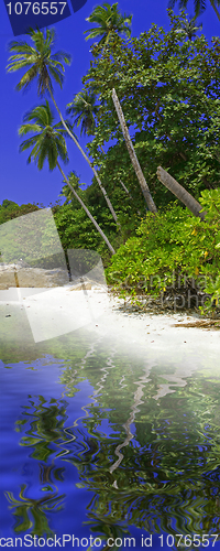 Image of Perhentian