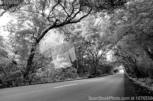 Image of Road on Curacao