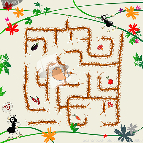 Image of Complicated maze