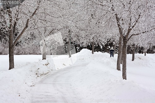 Image of Dark winter day