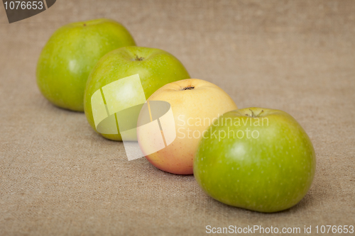 Image of Three green apples and one yellow