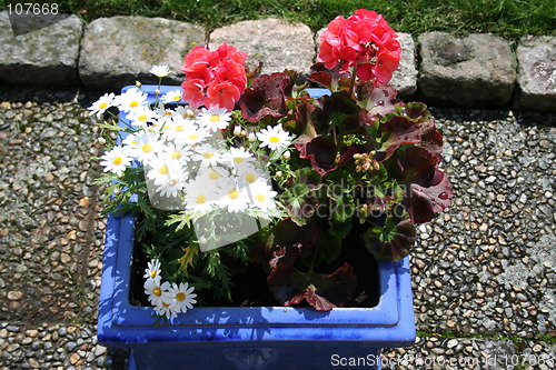 Image of Pot with flowers