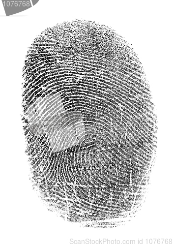 Image of Black fingerprint isolated on white