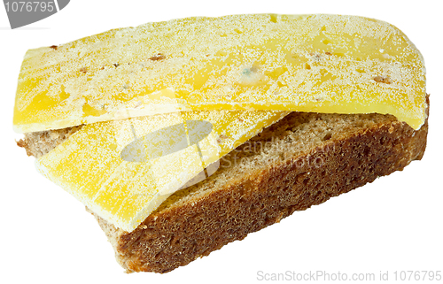 Image of Spoiled moldy inedible sandwich with cheese on white background