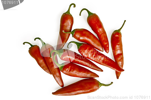 Image of Chilli