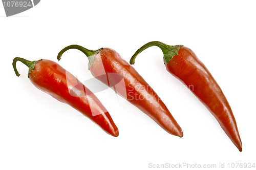 Image of Three red hot pepper