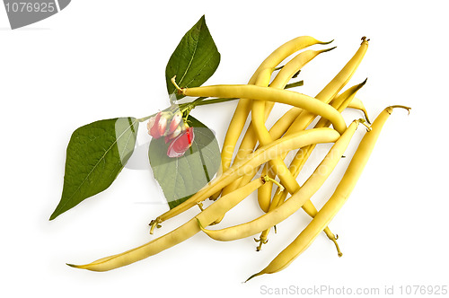 Image of Yellow beans with a flower
