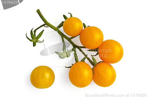 Image of Yellow cherry tomatoes