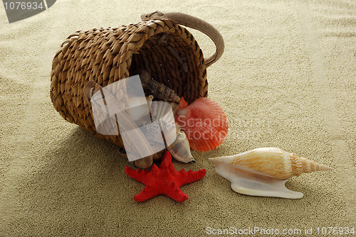 Image of Shells spilled from interwoven basket onto sand colored towel