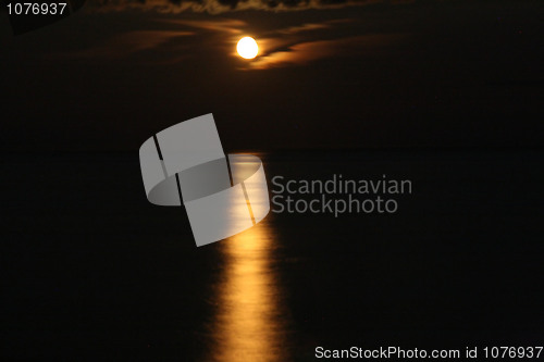 Image of Moonlight