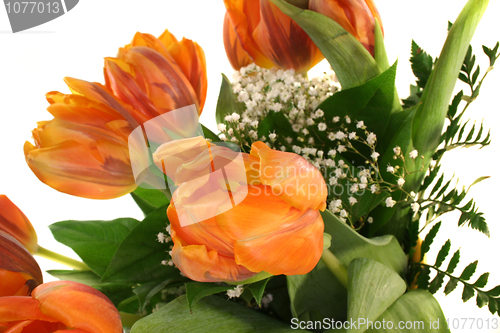 Image of tulips