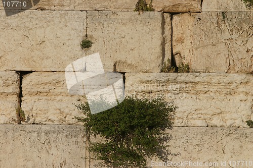 Image of Western wall