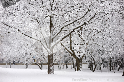 Image of Winter landscape in the city