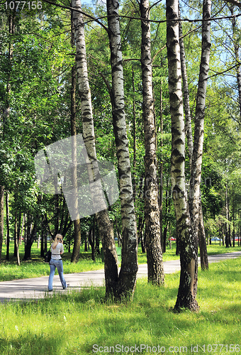 Image of Spring in the city park