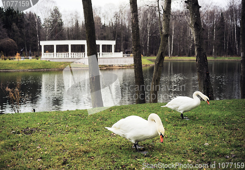 Image of November in the city park