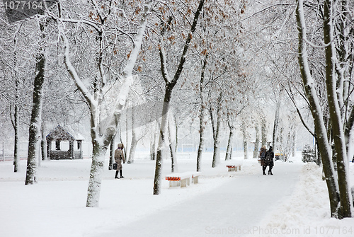 Image of Winter landscape in the city