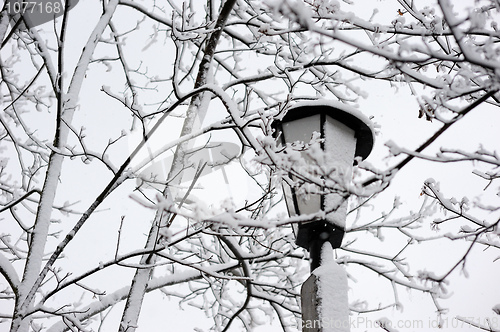 Image of Winter landscape