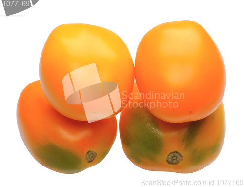 Image of Multicolored tomatoes, isolated
