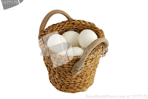 Image of All eggs in same basket