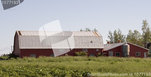Image of red barn
