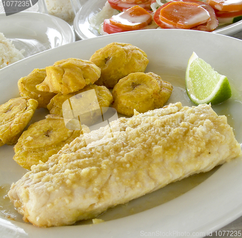 Image of fresh fish fillet with tostones Corn Island Nicarauga