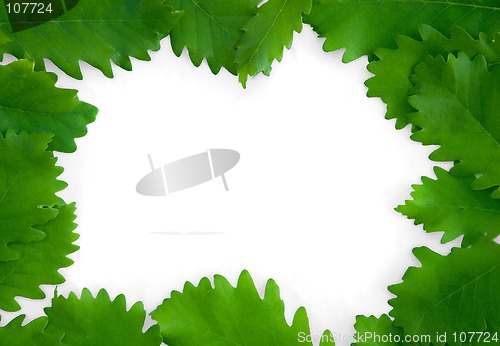 Image of Green leaves on paper frame background isolated