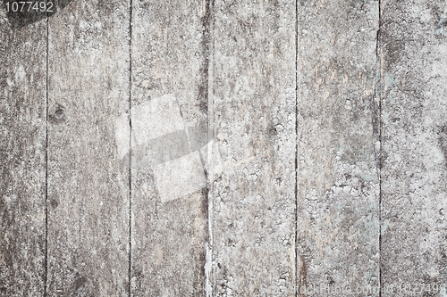 Image of Grunge rural wooden surface with stains and fungus