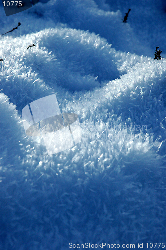 Image of snowcrystals