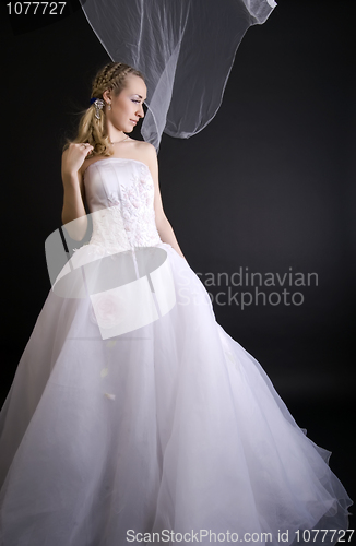 Image of  Beautiful bride     