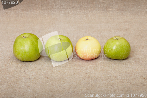 Image of Four ripe apples against drapery