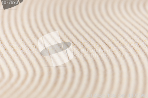 Image of Abstract background of sand with furrows