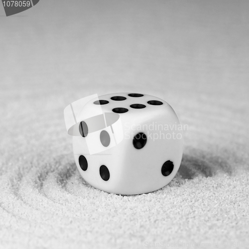 Image of Dice in Japanese rock-garden