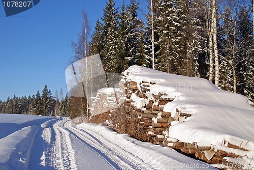 Image of Timber Logs  Ready for Transport by Forest Road in Winter