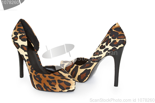 Image of High Heels