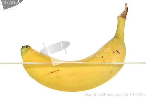Image of A banana swims in water