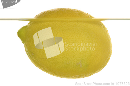 Image of A lemon swims in water